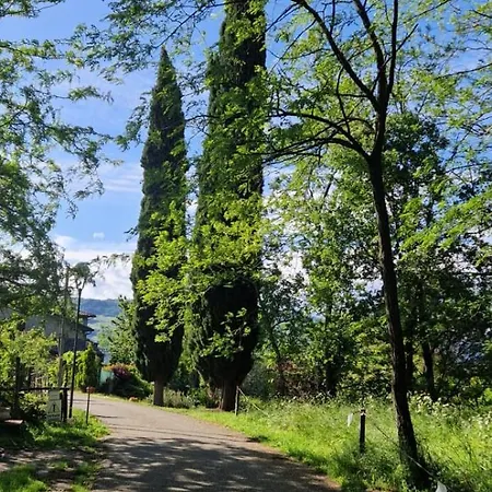 Castelvecchio24 *